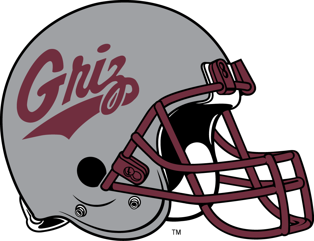 Montana Grizzlies 1996-Pres Helmet Logo diy iron on heat transfer